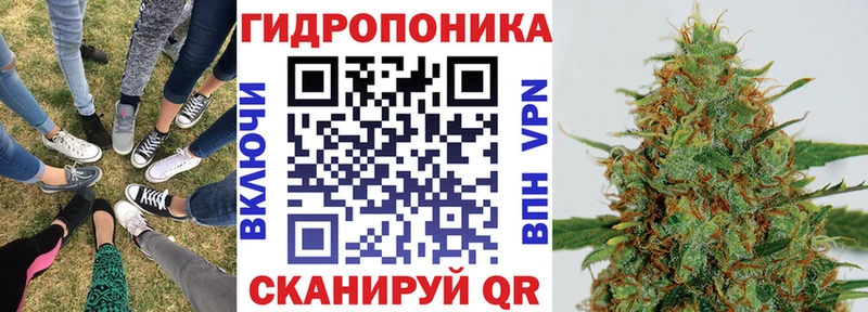 закладки  Великий Устюг  Марихуана ГИДРОПОН 